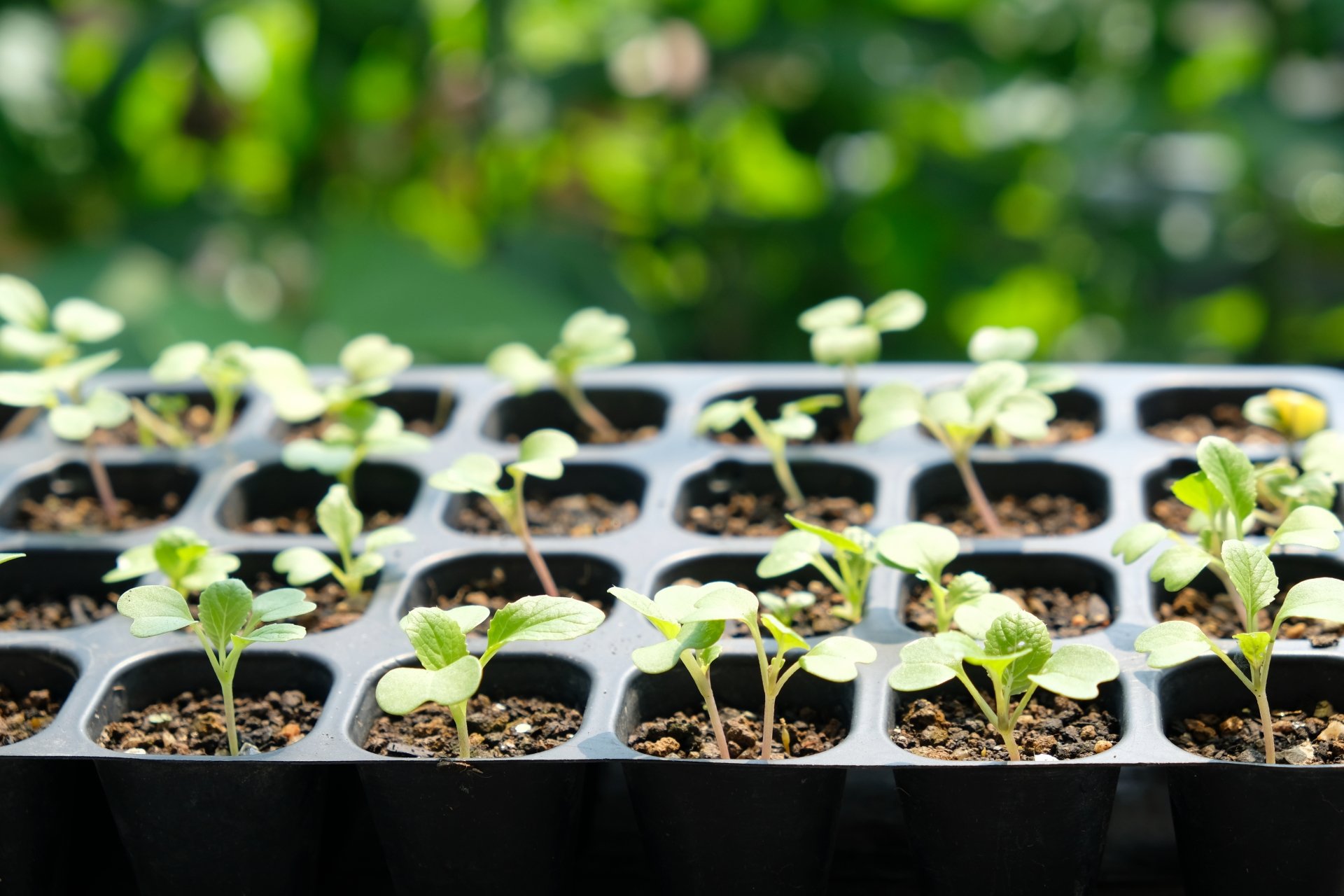 【2026年度最新版】地域創生やまちづくりに力を入れている高校生必見！おすすめの入試と大学まとめ