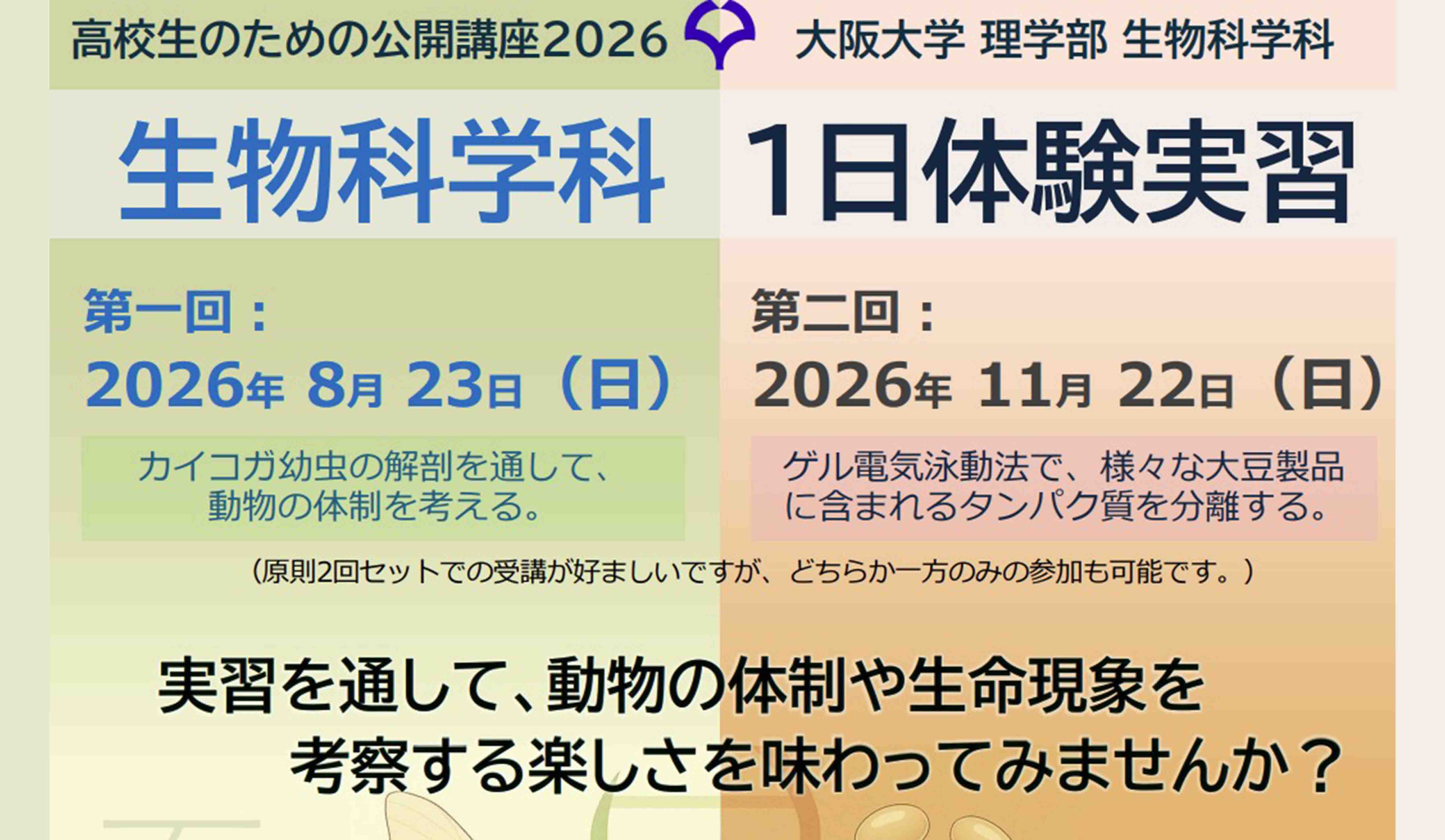 生物科学科　1日体験実習