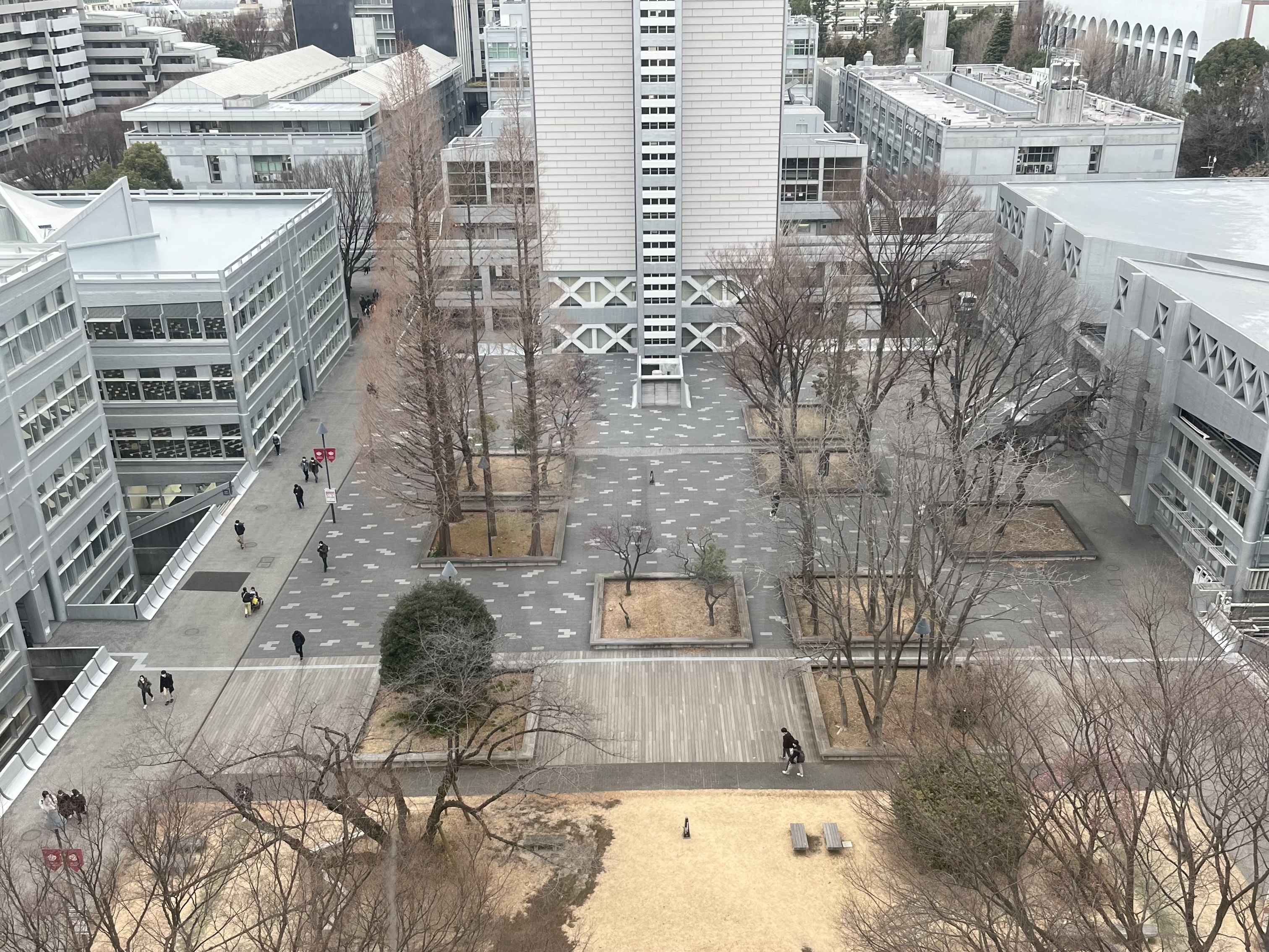 西早稲田キャンパス中庭