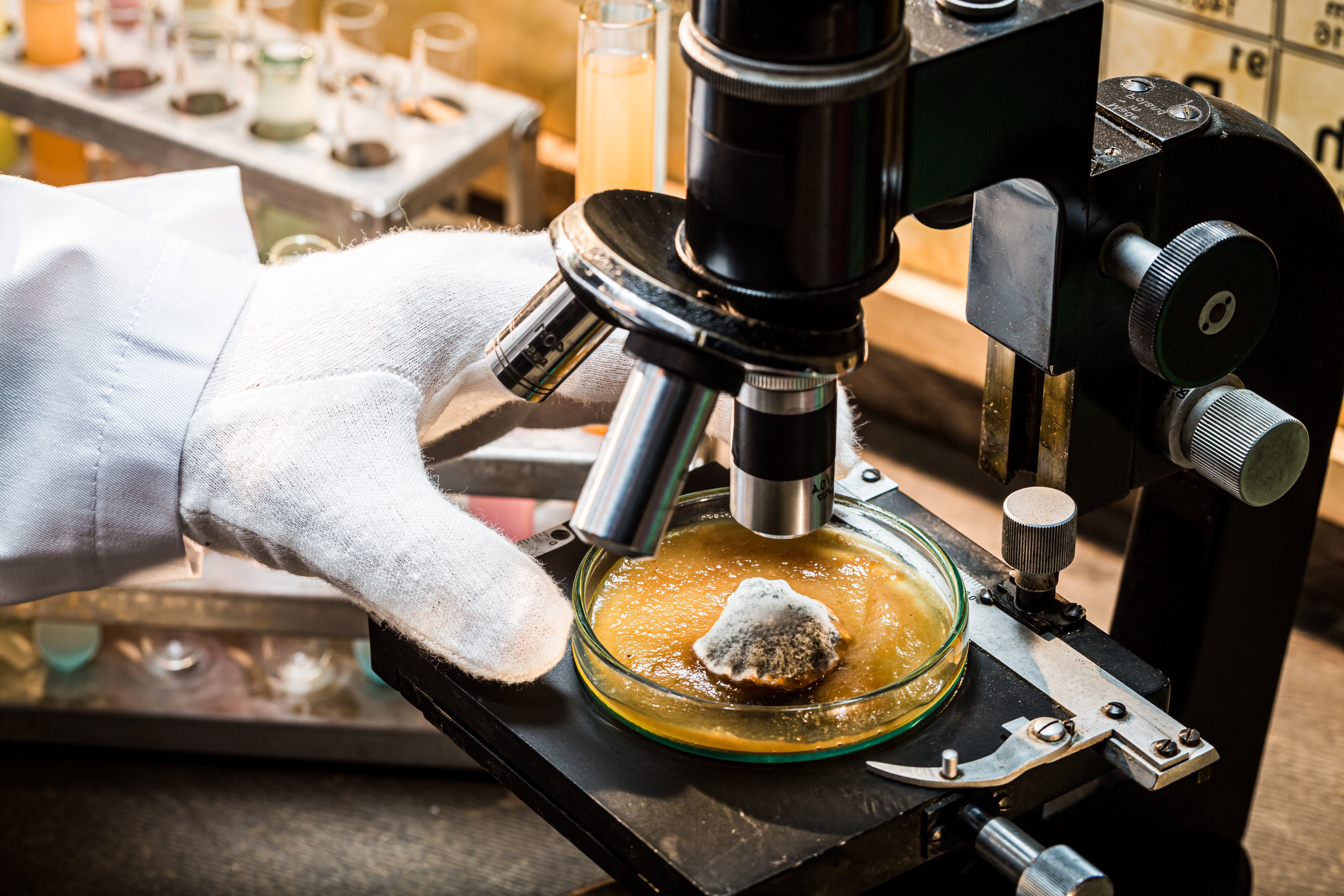 laboratory-during-the-mold-test-practical