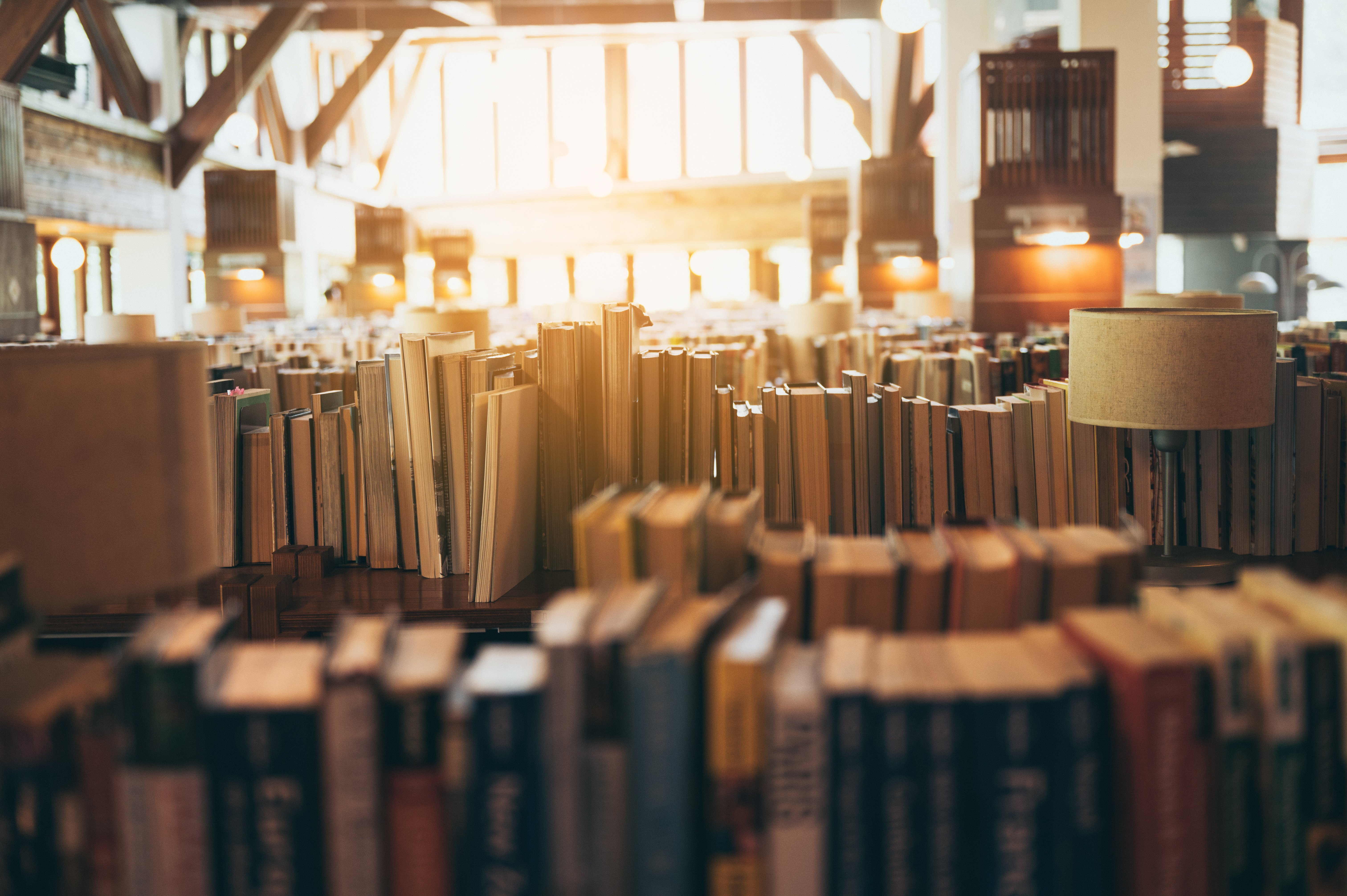 bookshelves-in-public-libraries-conceptual