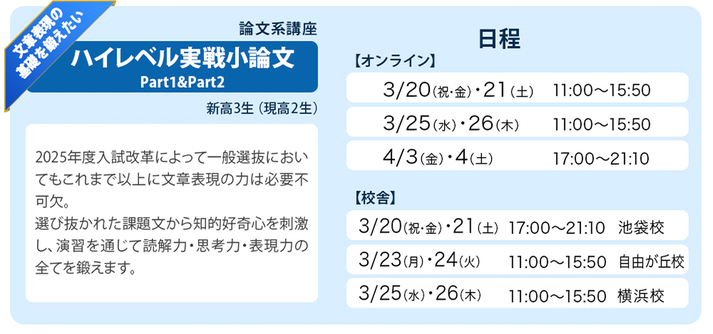 ハイレベル実績小論文