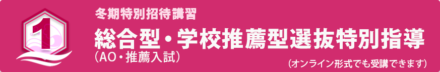 【英語講座を含む】  総合型・学校推薦型選抜特別指導 