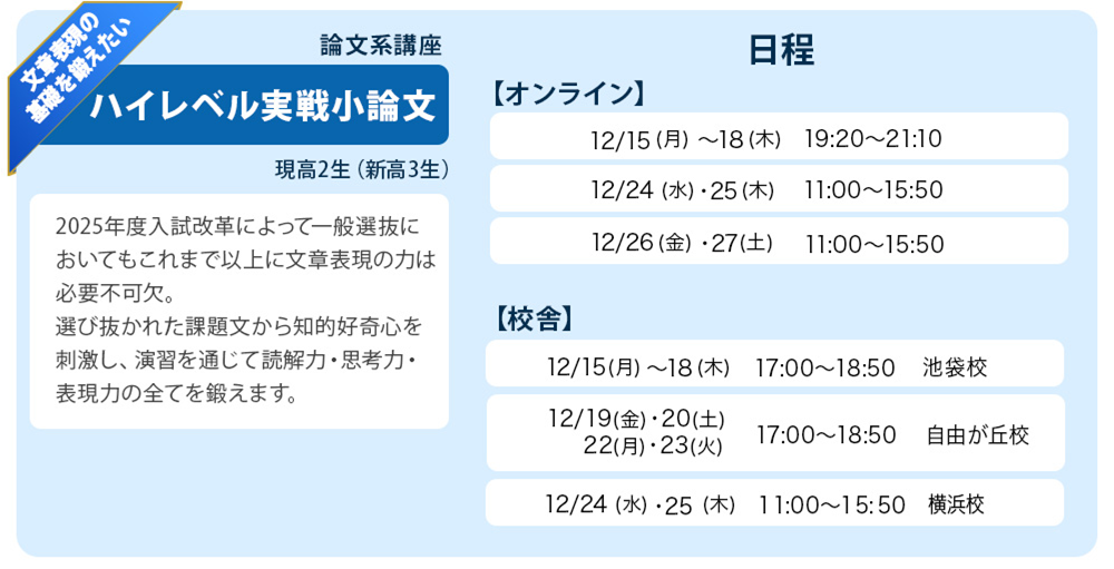 ハイレベル実践小論文